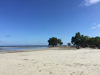 Scenic view of beach against clear blue sky