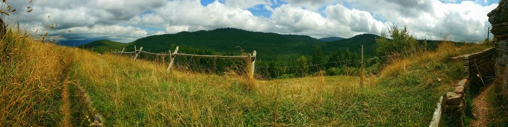 Scenic view of grassy field against sky