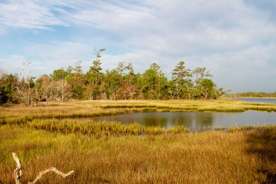 Scenic view of lake against sky