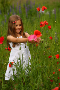 Portrait of a cute 6 year old girl wearing a white summer cotton dress, posing in the poppy field