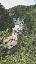 High angle view of trees and buildings in forest