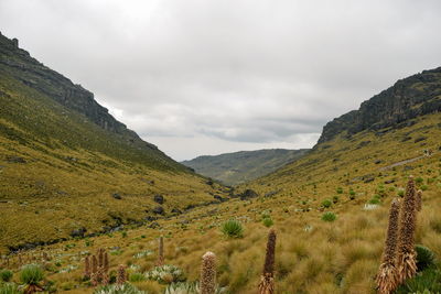 Scenic view of mountains against sky, mount kenya national park, kenya 