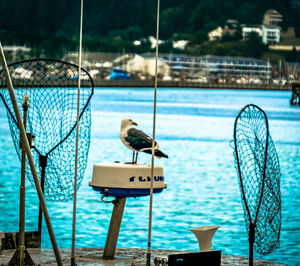 Birds perching on sea against sky