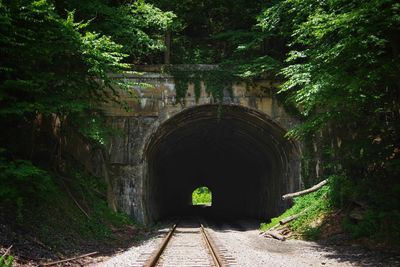 Arch bridge and railway tunnel in forest