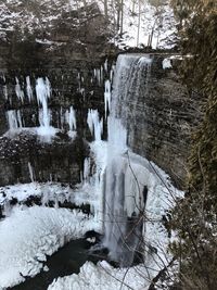 Snow covered land and trees in forest