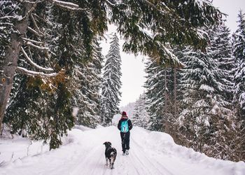 Rear view of man riding dog on snow