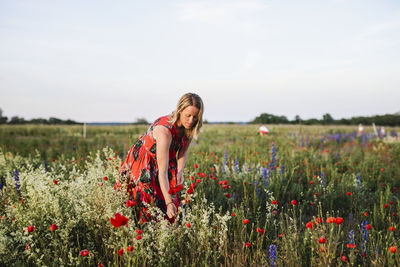 Woman picking flowers on meadow