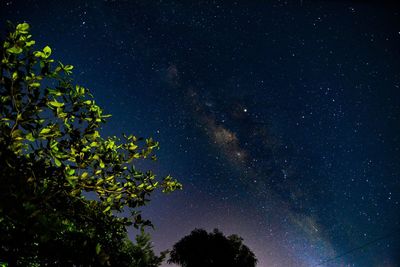 Low angle view of trees against sky at night
