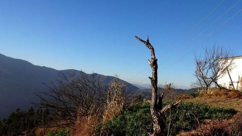 Scenic view of landscape against clear sky