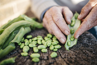 Hands of senior man peeling beans