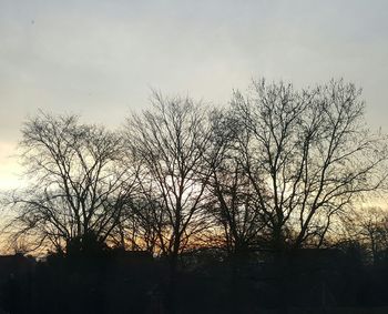 Silhouette of trees against sky