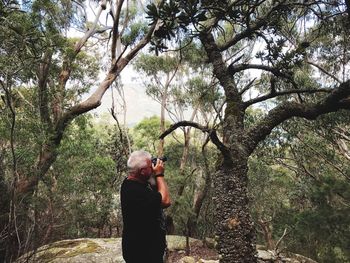 Man photographing trees in forest