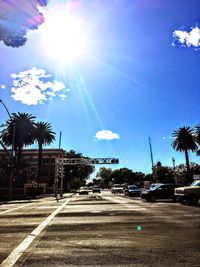 Road by palm trees against sky