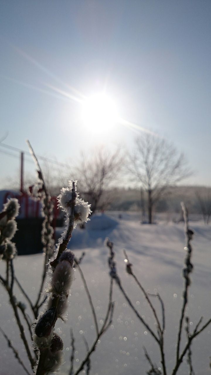 cold temperature, winter, snow, sun, frozen, nature, bare tree, season, sunlight, weather, water, tranquility, beauty in nature, sunbeam, lens flare, sky, tranquil scene, clear sky, scenics, outdoors