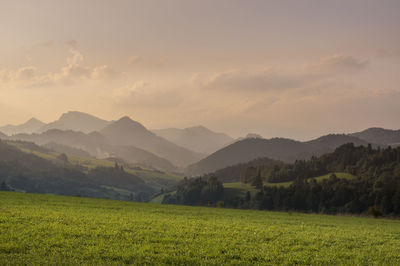 Scenic view of field against sky during sunset