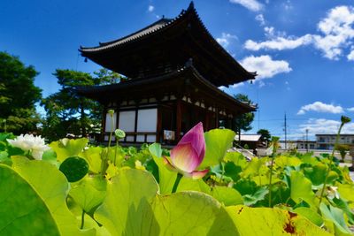 Traditional building against sky