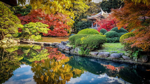 Scenic view of lake in park during autumn