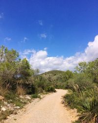 Scenic view of landscape against cloudy sky