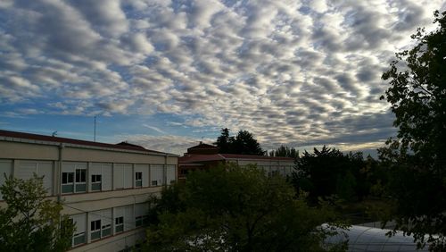 Trees and buildings against sky