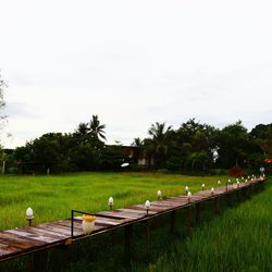 Trees on field by lawn against sky