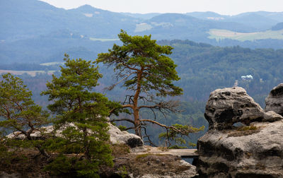  bohemian switzerland in the czech republic