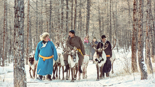 Group of people riding horses in forest