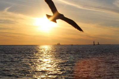 Silhouette bird flying over sea against sky during sunset