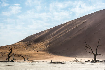 Scenic view of desert against sky