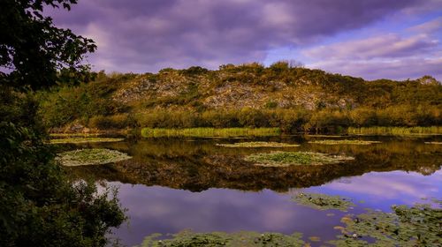 Reflection of trees in lake against sky