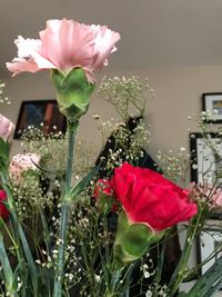 Close-up of red flowers blooming outdoors