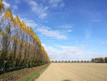 Road amidst agricultural field against blue sky
