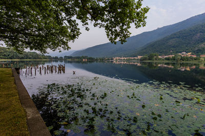 The branches of the trees are reflected in the calm waters of lake revine lago treviso veneto italy