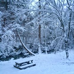 Snow covered trees on landscape against sky