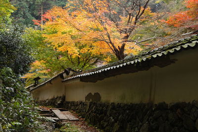 Plants and trees by house against sky during autumn