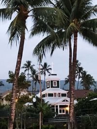 Low angle view of palm trees against building