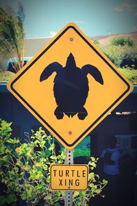 Close-up of arrow sign on road