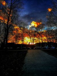 Silhouette trees on road against sky at night