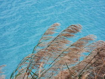 High angle view of rocks by sea