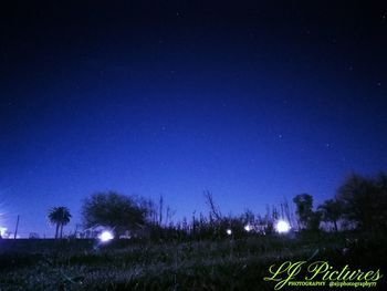 Low angle view of illuminated trees against clear sky at night