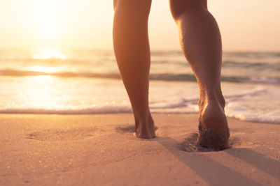 Low section of woman on beach