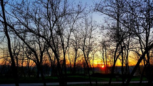 Silhouette bare trees on landscape against sky at sunset