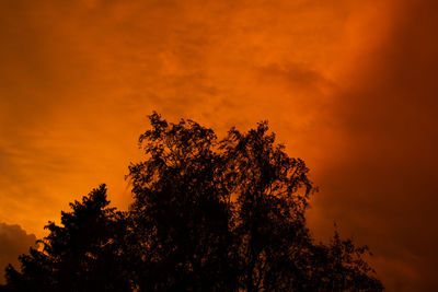 Low angle view of silhouette tree against orange sky