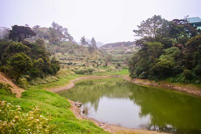 Scenic view of lake and trees against sky