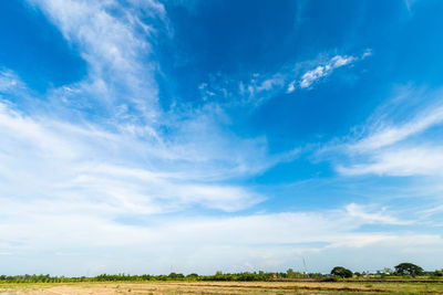 Scenic view of agricultural field against blue sky