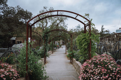 Footpath amidst flowering plants in park against sky