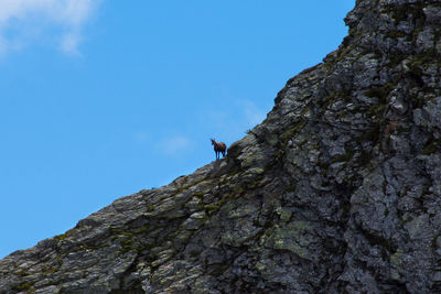 Low angle view of person on rock against sky