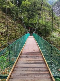 Footbridge amidst trees in forest