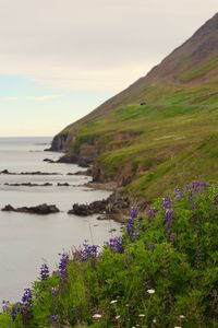 Scenic view of sea against cloudy sky