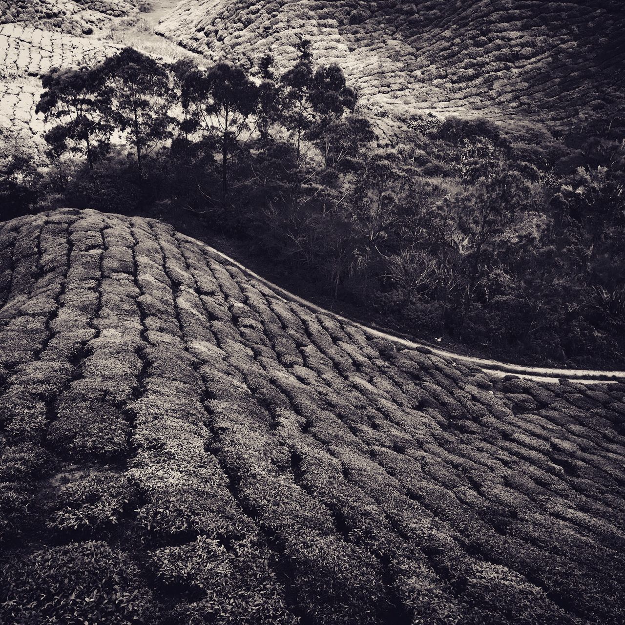 HIGH ANGLE VIEW OF LAND AGAINST MOUNTAIN