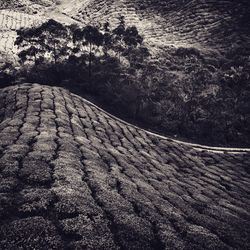 High angle view of land